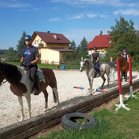 Stajnia Grudki Energylandia Farm stay *